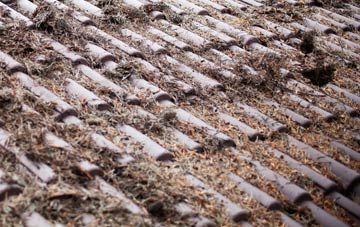 Sheraton roof cleaning companies