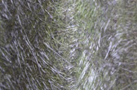 Sheraton fibreglass roof work